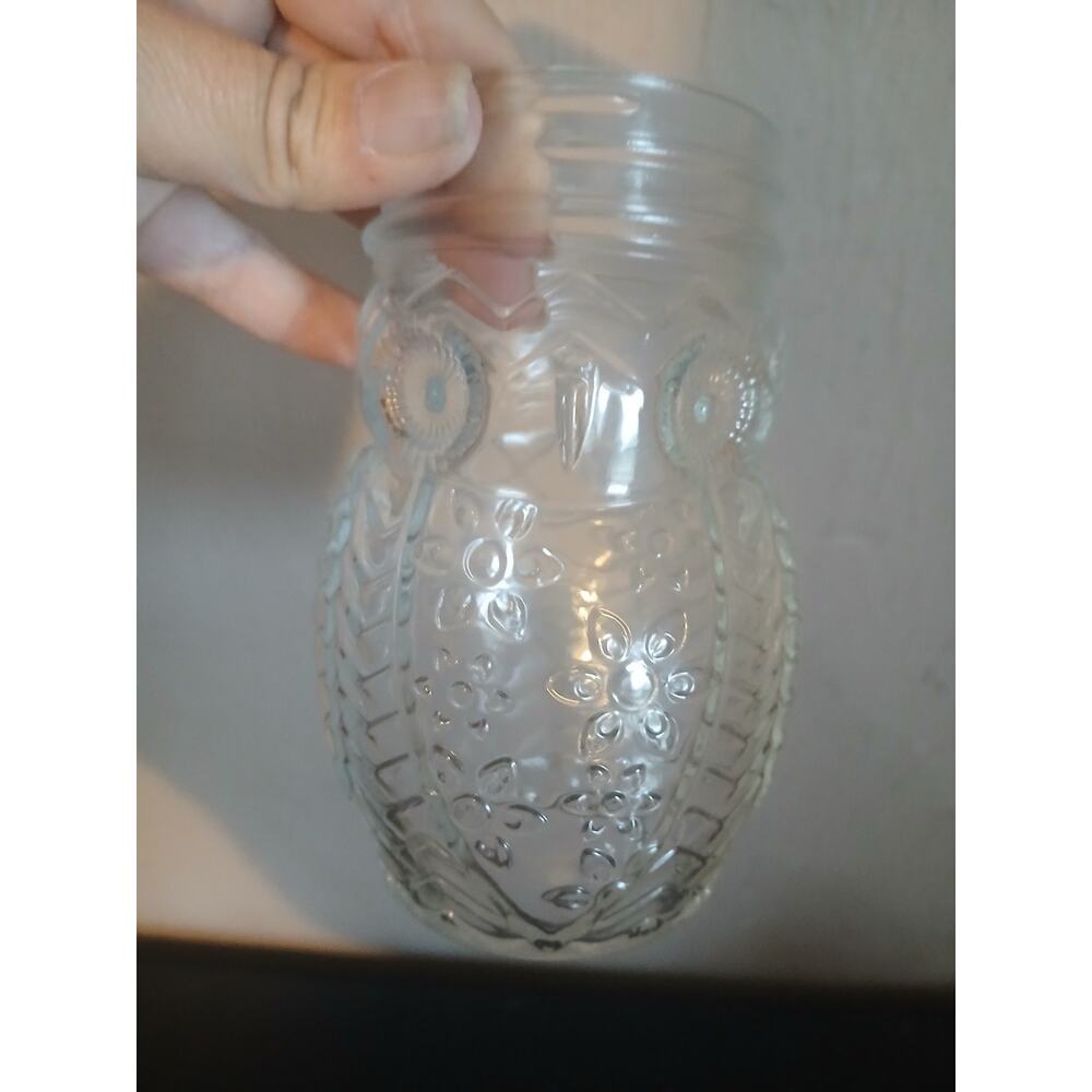 Glass Owl Canning Jar Storage Drinkware Jar 5" Tall Container Mason Jar